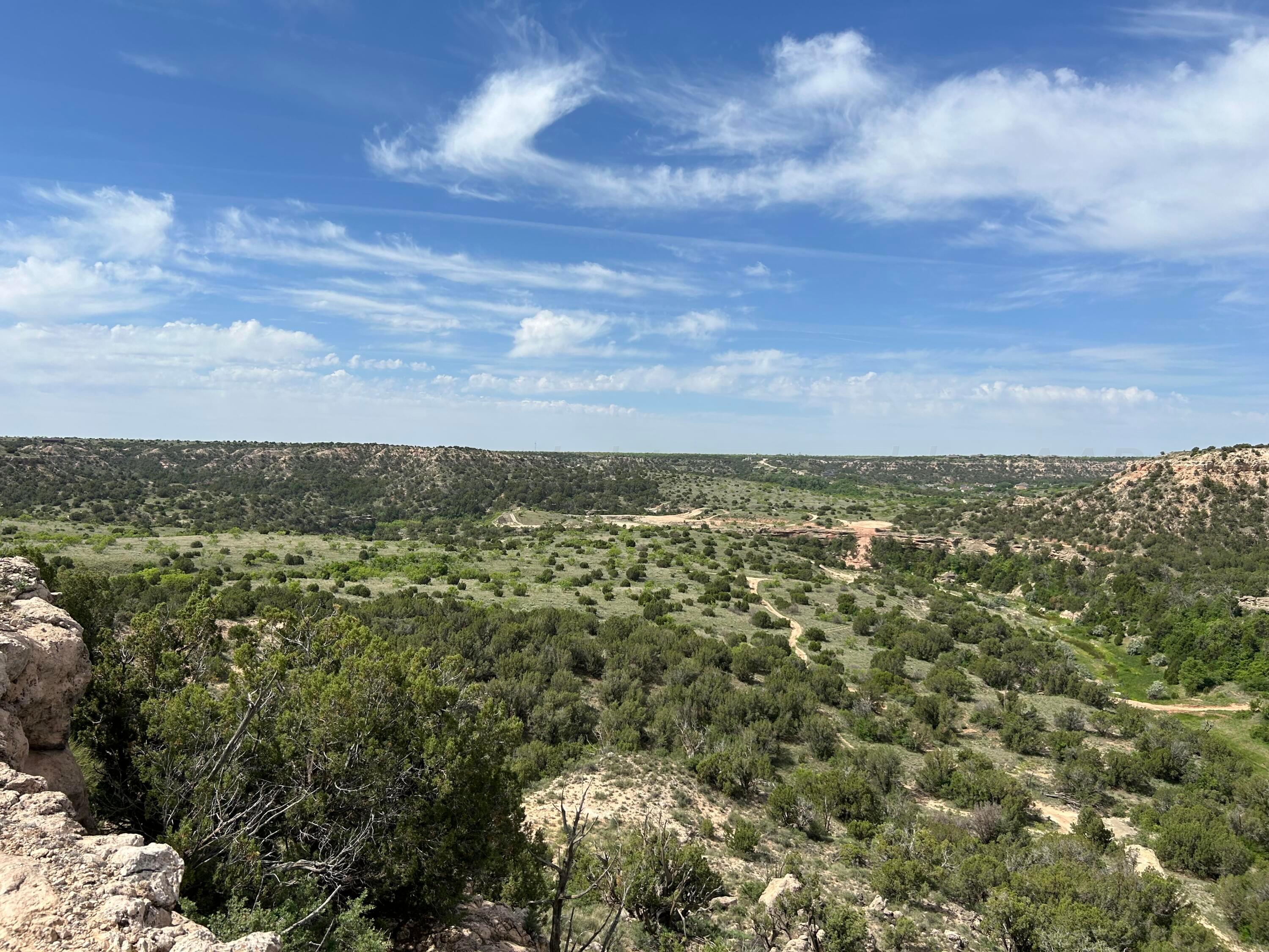 7601 Distant View Drive Amarillo, TX 79118 - Photo 19 of 27 a view of a bunch of trees