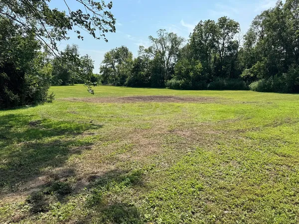 a view of a field with an trees