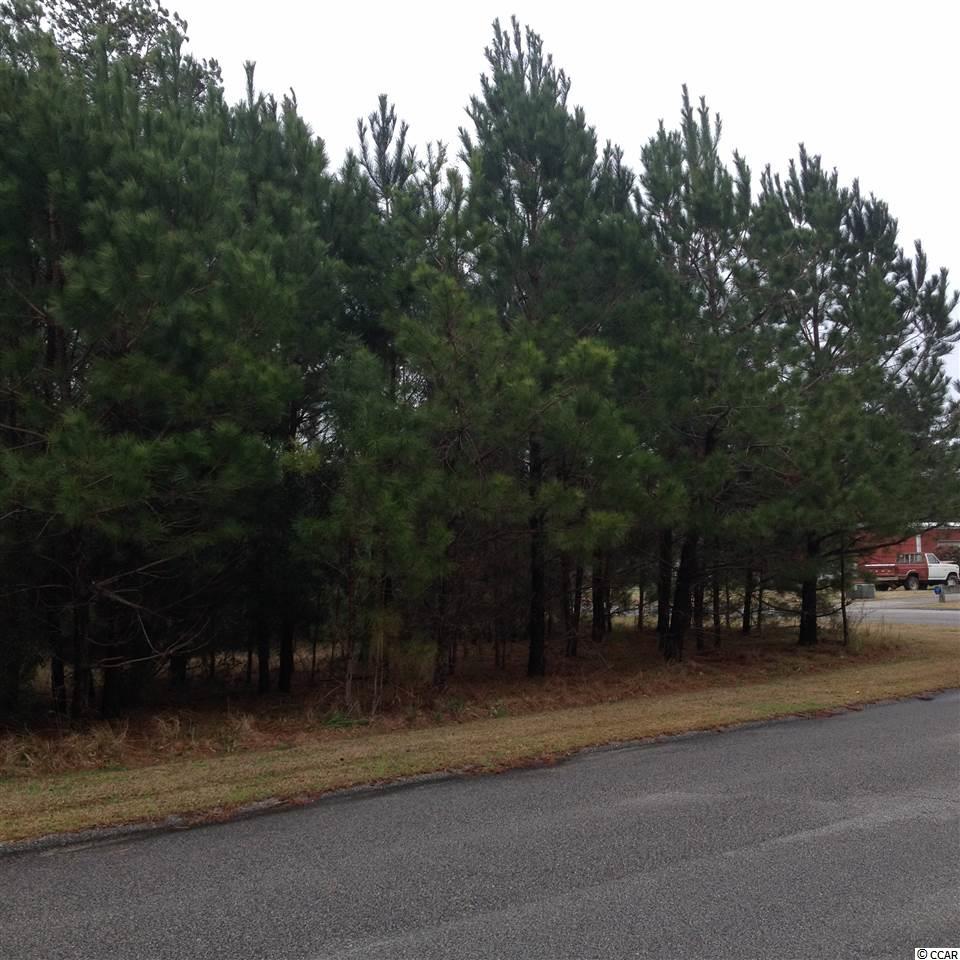 Tbd Duke Road Longs, SC 29568 - Photo 1 of 12 Gallery Image 1