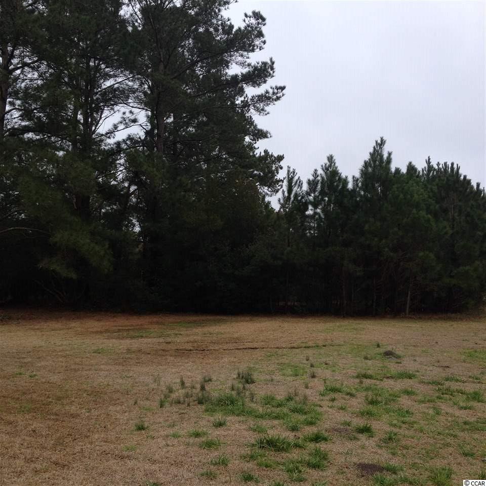 Tbd Duke Road Longs, SC 29568 - Photo 2 of 12 Gallery Image 2