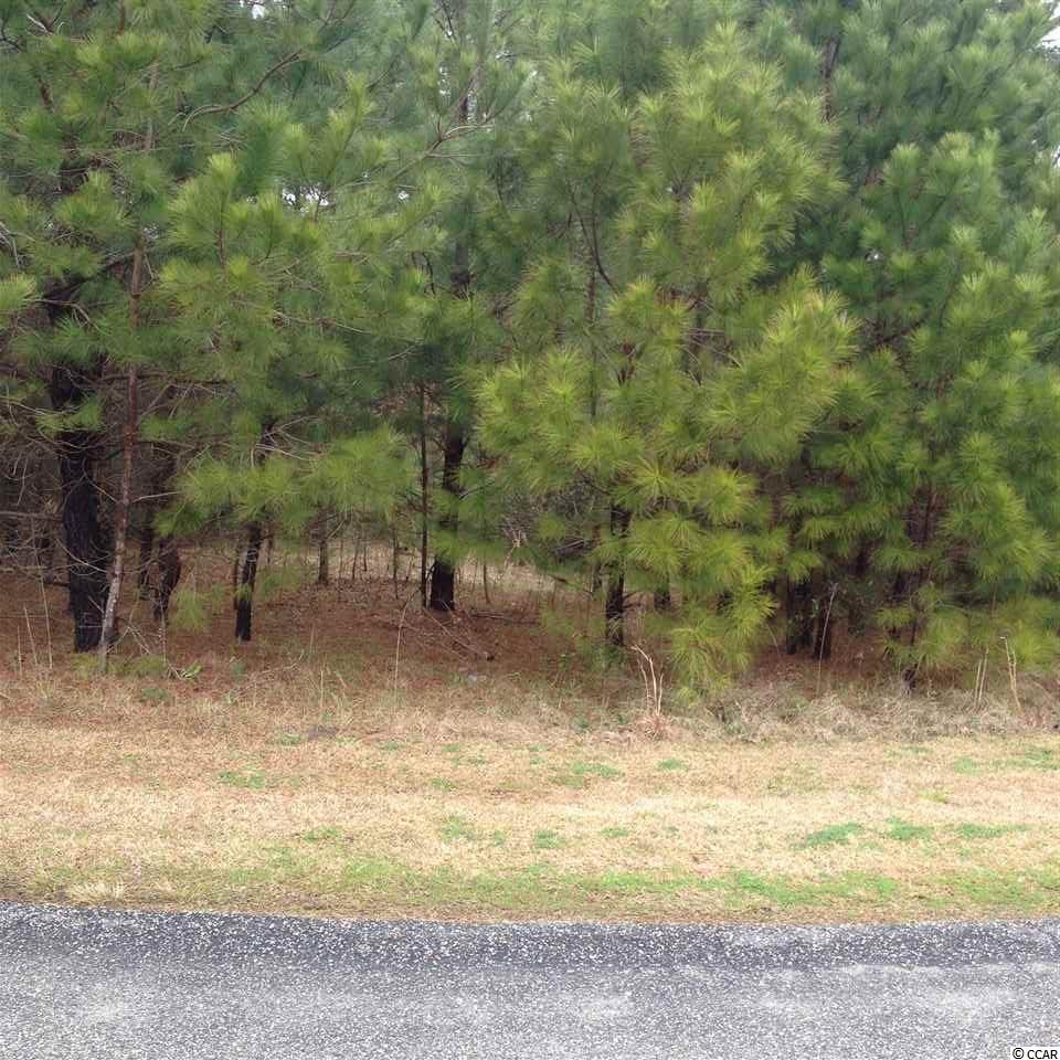 Tbd Duke Road Longs, SC 29568 - Photo 11 of 12 Gallery Image 11