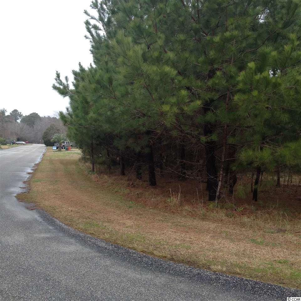 Tbd Duke Road Longs, SC 29568 - Photo 12 of 12 Gallery Image 12