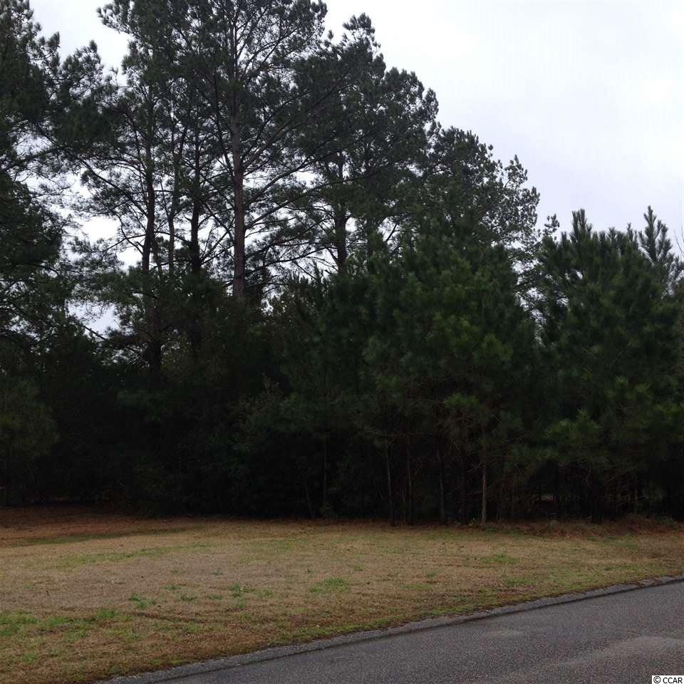 Tbd Duke Road Longs, SC 29568 - Photo 3 of 12 Gallery Image 3