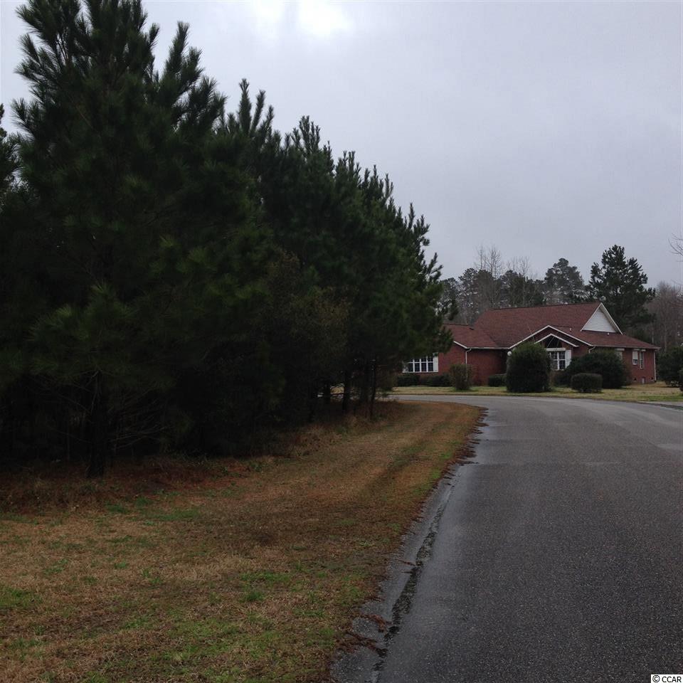 Tbd Duke Road Longs, SC 29568 - Photo 5 of 12 Gallery Image 5