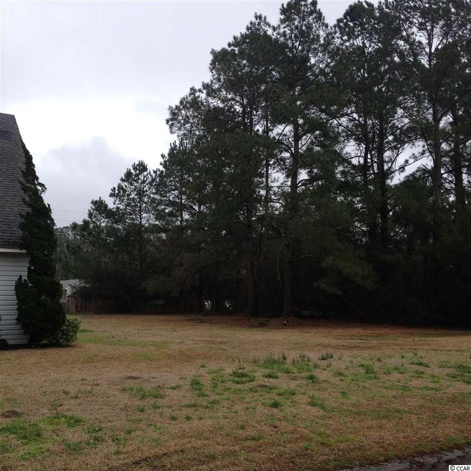 Tbd Duke Road Longs, SC 29568 - Photo 6 of 12 Gallery Image 6