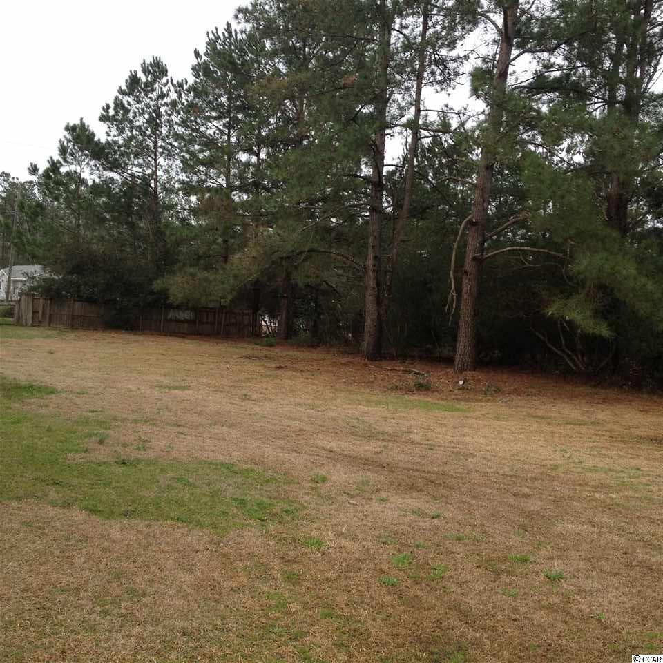 Tbd Duke Road Longs, SC 29568 - Photo 7 of 12 Gallery Image 7