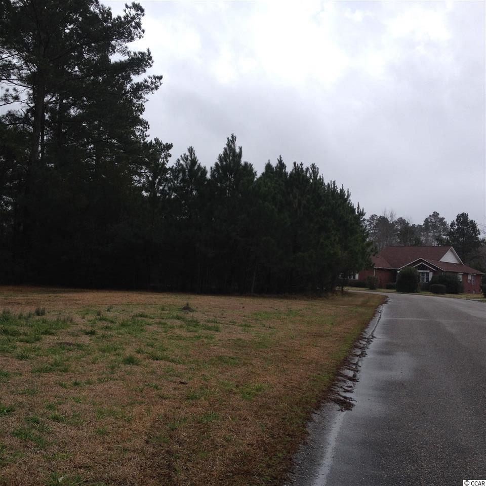 Tbd Duke Road Longs, SC 29568 - Photo 8 of 12 Gallery Image 8
