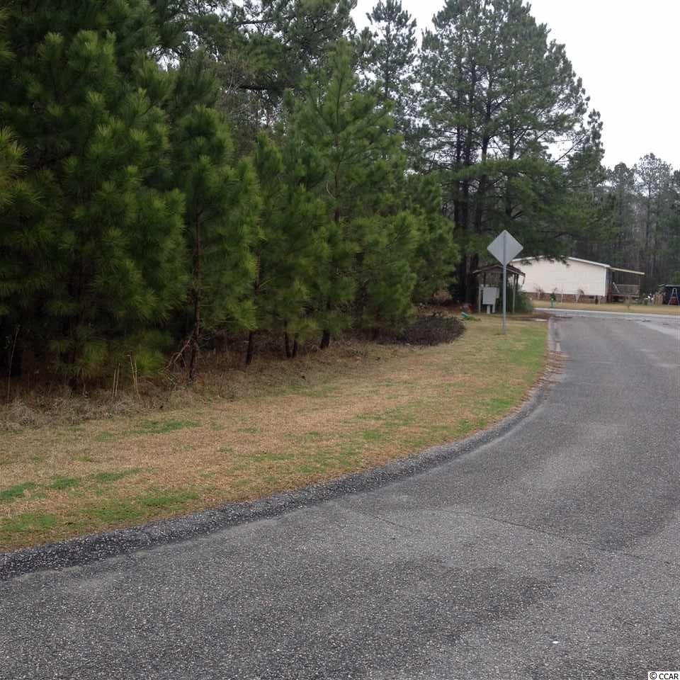 Tbd Duke Road Longs, SC 29568 - Photo 10 of 12 Gallery Image 10
