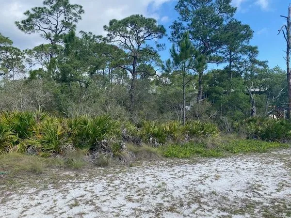 $29,500 | 23 Beechcraft Drive, Panacea, FL 32346