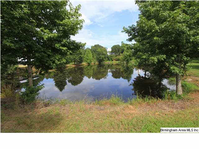 749 Dove Welch Road Wellington, AL 36279 - Photo 32 of 32
