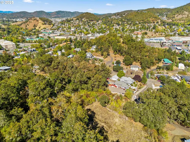 a view of a city with mountains in the background