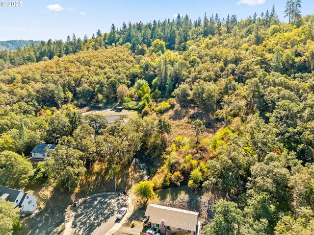 a view of a bunch of trees