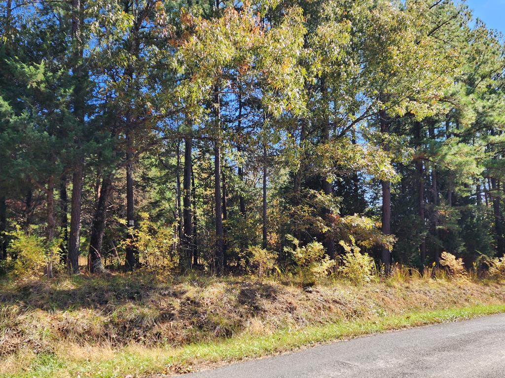 Old Grist Mill Road Appomattox, VA 24522 - Photo 1 of 2 Gallery Image 1
