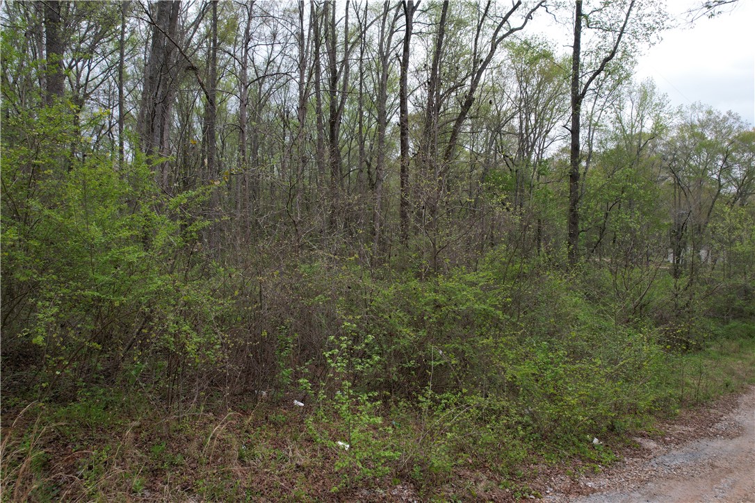 115 Dowell Road Anderson, SC 29626 - Photo 3 of 11