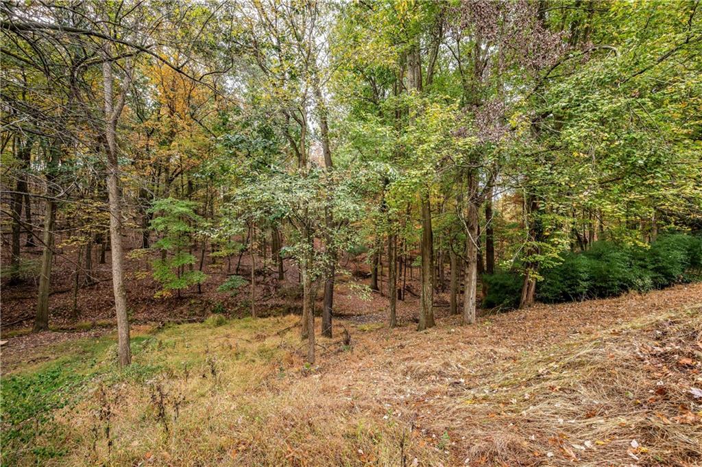 350 Limerick Road Wexford, PA 15090 - Photo 44 of 47 a view of a forest filled with trees