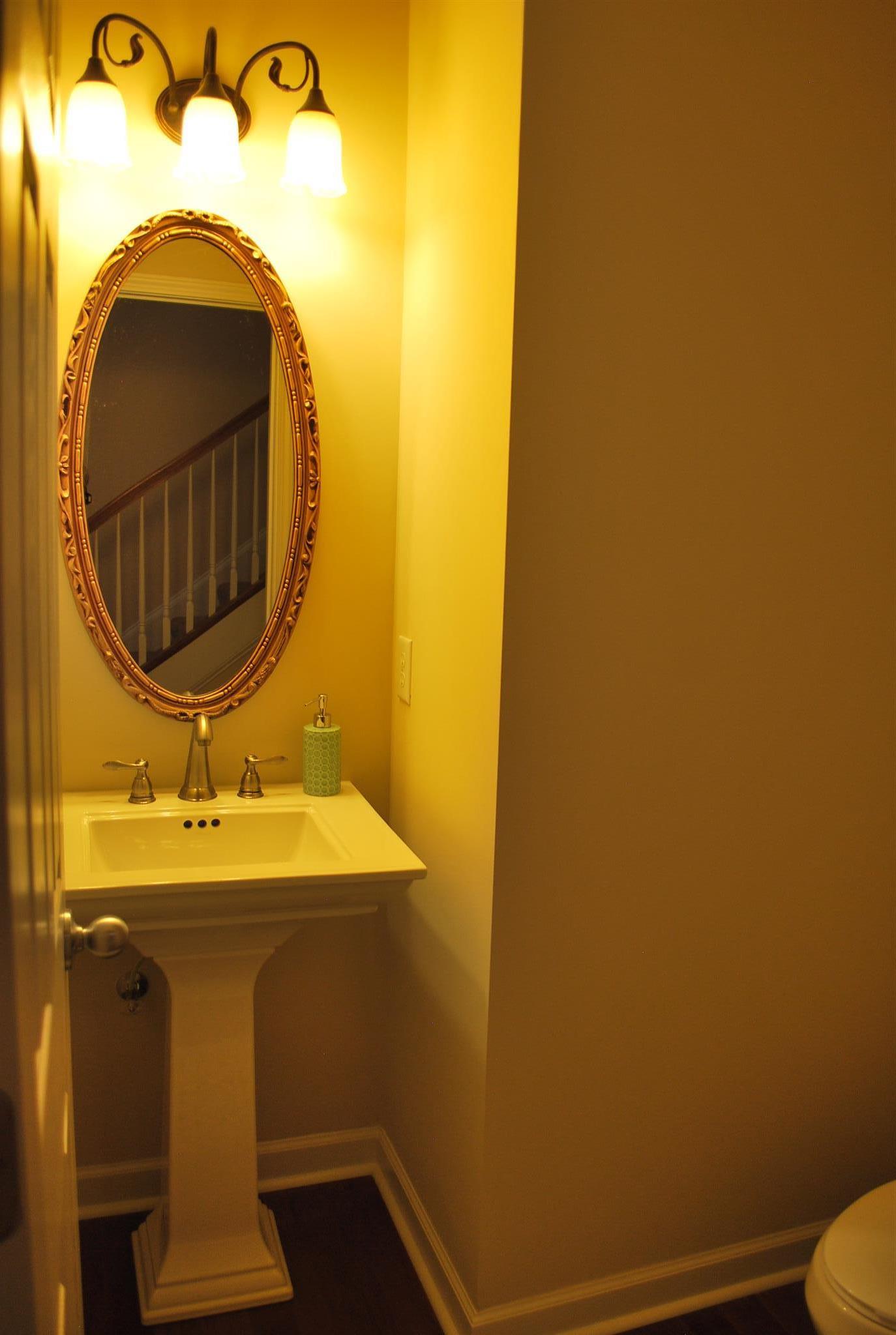 2016 Brewster Drive Franklin, TN 37067 - Photo 11 of 30 a bathroom with a sink and a mirror