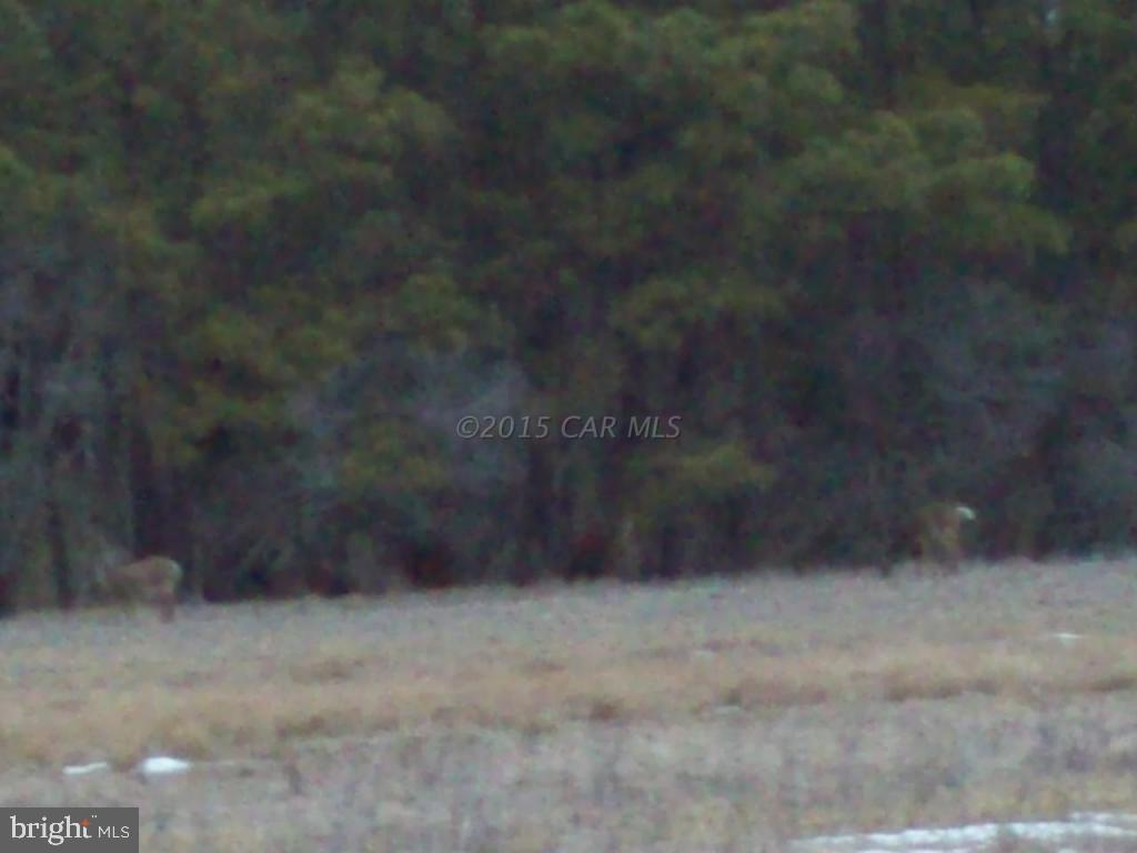 3611 Country Club Road Crisfield, MD 21817 - Photo 17 of 22 Gallery Image 17
