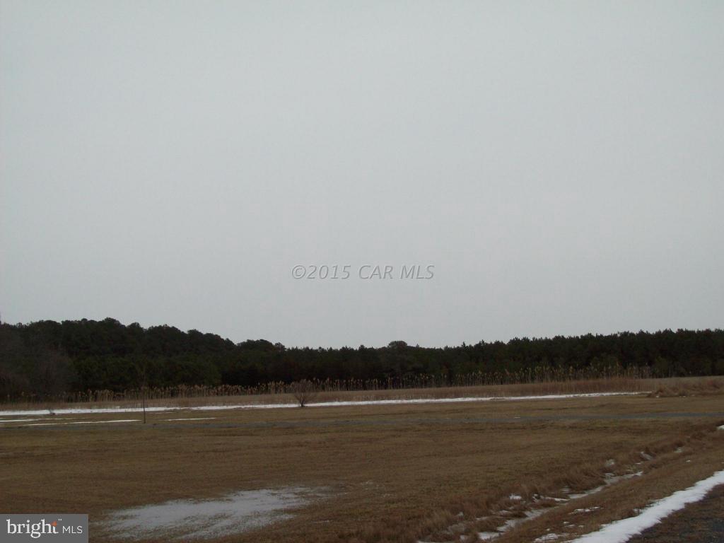 3611 Country Club Road Crisfield, MD 21817 - Photo 19 of 22 Gallery Image 19