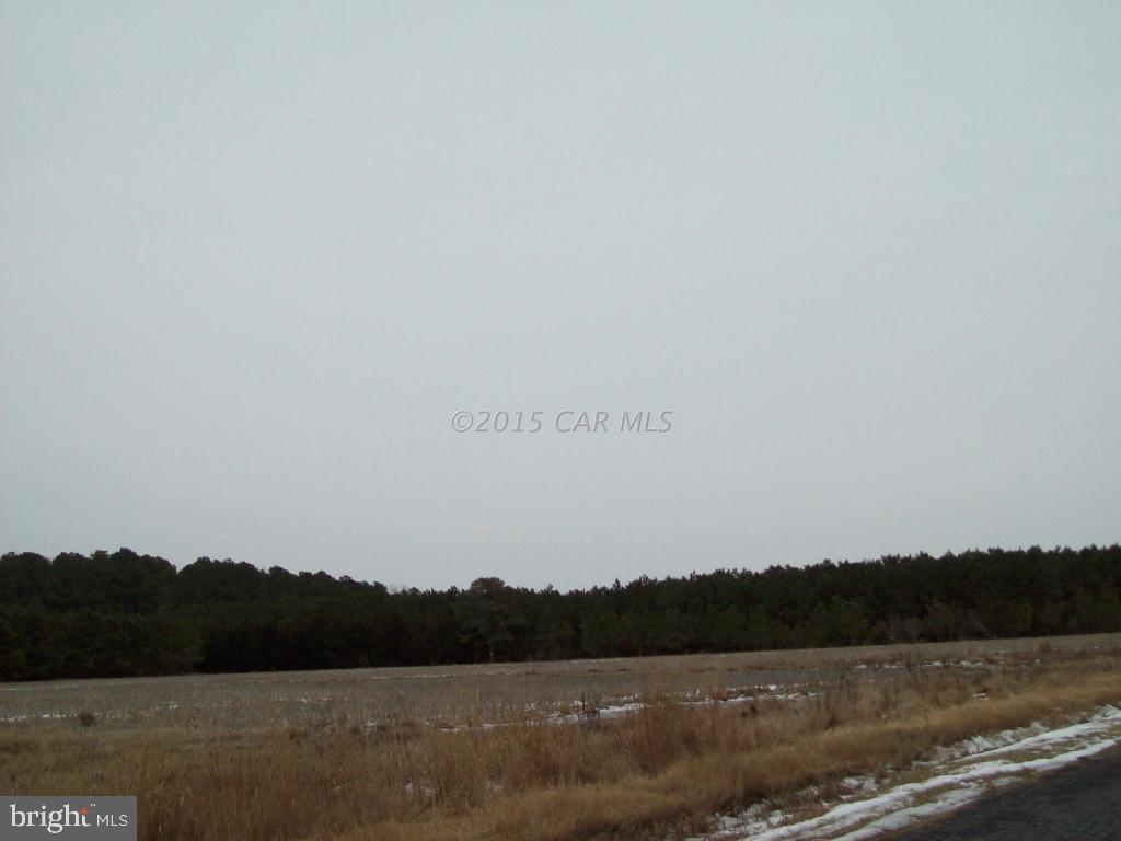 3611 Country Club Road Crisfield, MD 21817 - Photo 20 of 22 Gallery Image 20