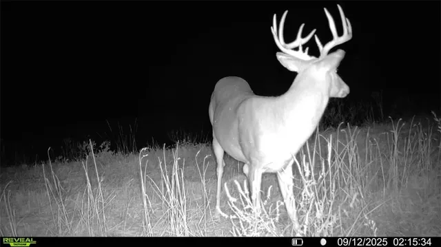 $225,000 | 5480 State Route, Unit RURAL, Higbee, MO 65257