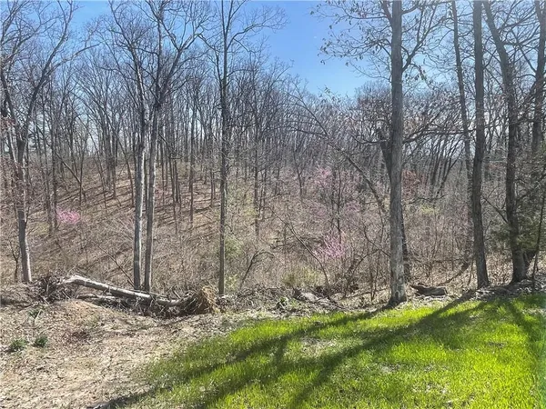 $200,000 | 5480 State Route, Unit RURAL, Higbee, MO 65257