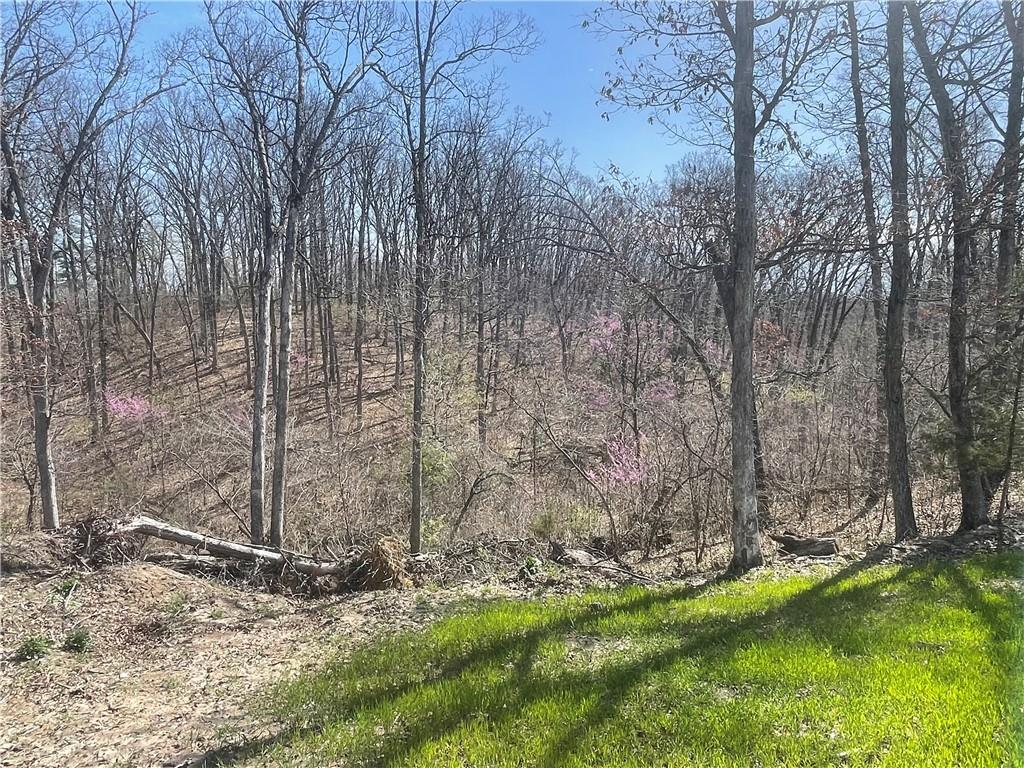 5480 State Route, Unit RURAL Higbee, MO 65257 - Photo 15 of 51