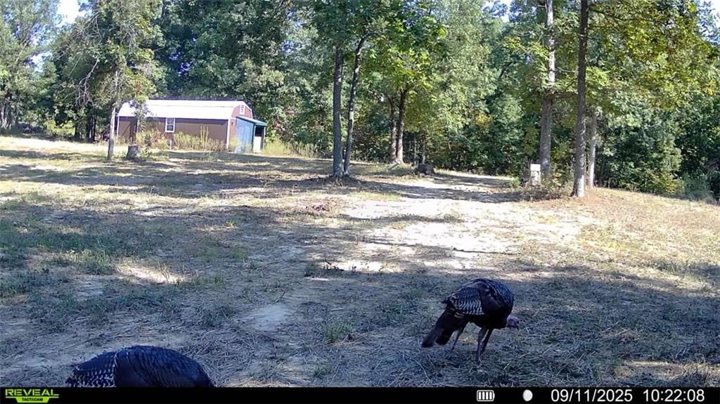 5480 State Route, Unit RURAL Higbee, MO 65257 - Photo 2 of 51