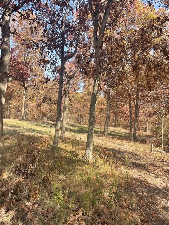 5480 State Route, Unit RURAL Higbee, MO 65257 - Photo 21 of 51