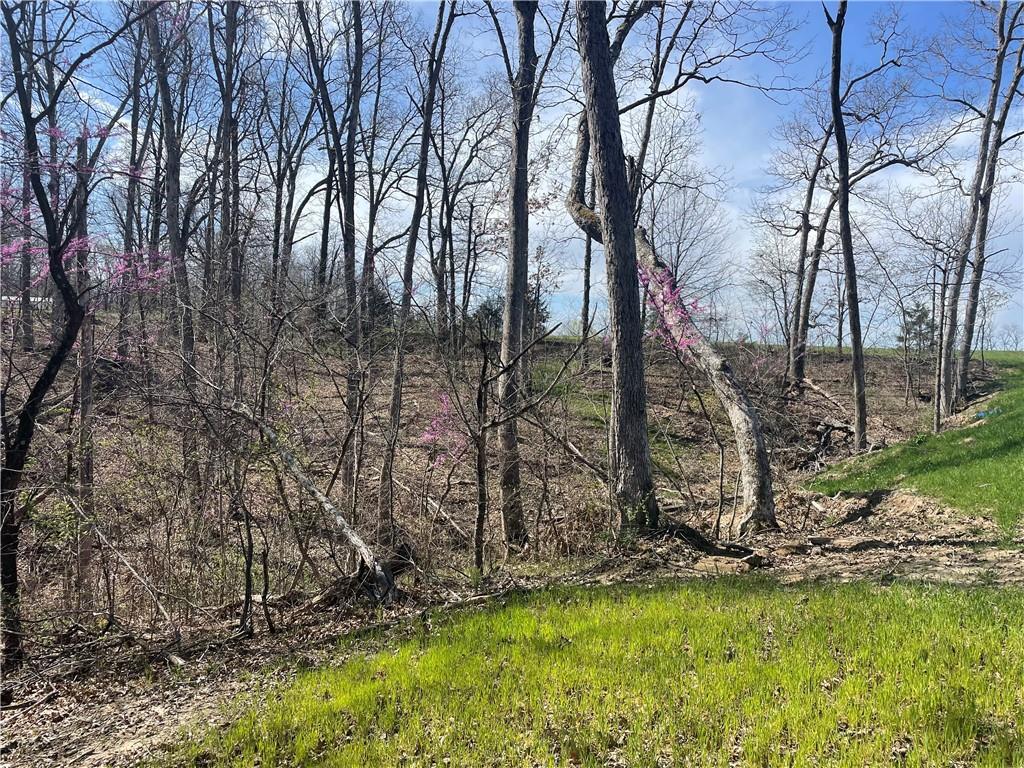 5480 State Route, Unit RURAL Higbee, MO 65257 - Photo 30 of 51