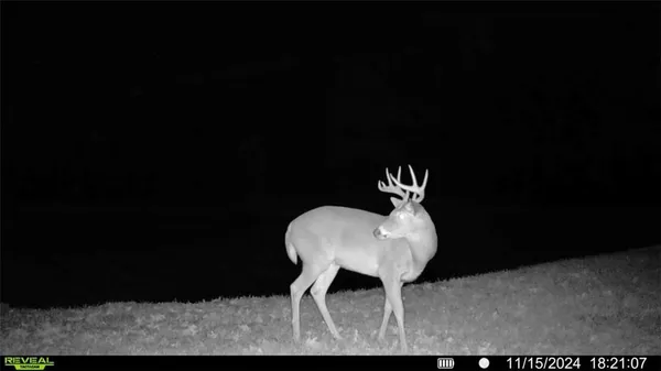 $200,000 | 5480 State Route, Unit RURAL, Higbee, MO 65257