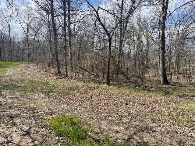 $225,000 | 5480 State Route, Unit RURAL, Higbee, MO 65257