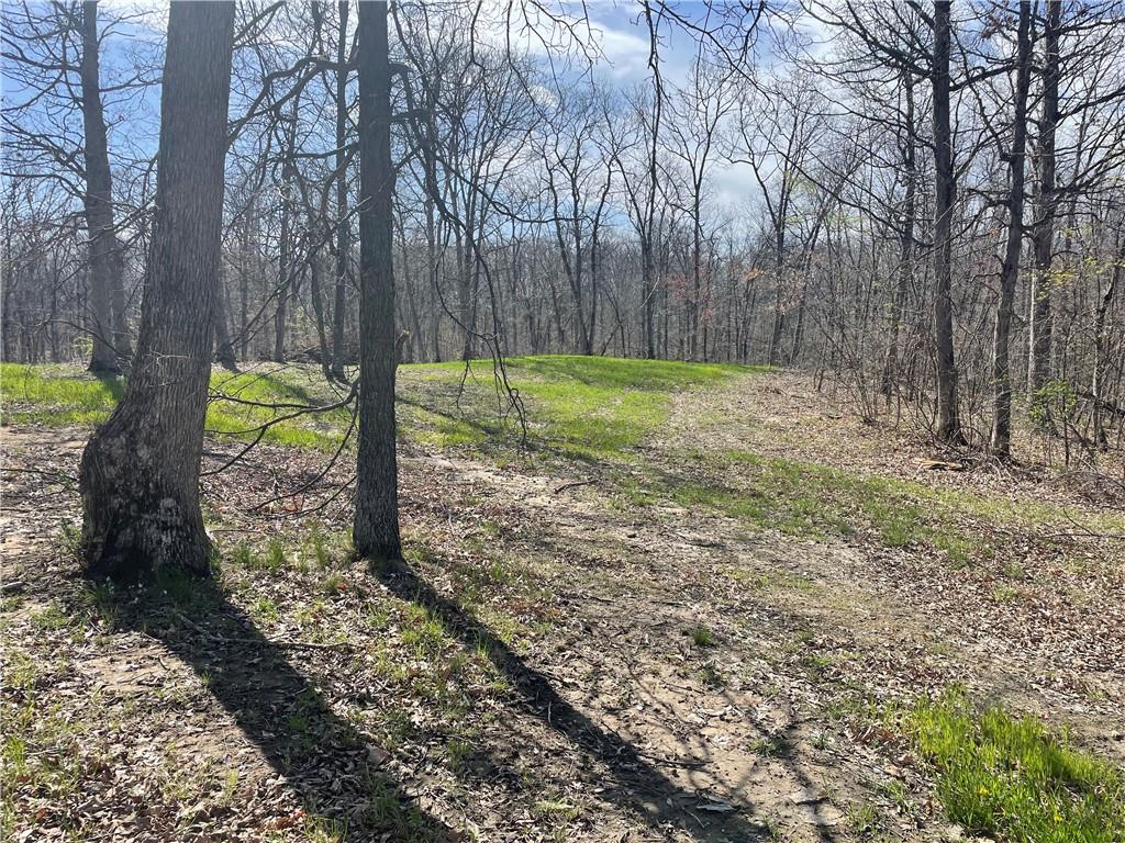 5480 State Route, Unit RURAL Higbee, MO 65257 - Photo 34 of 51