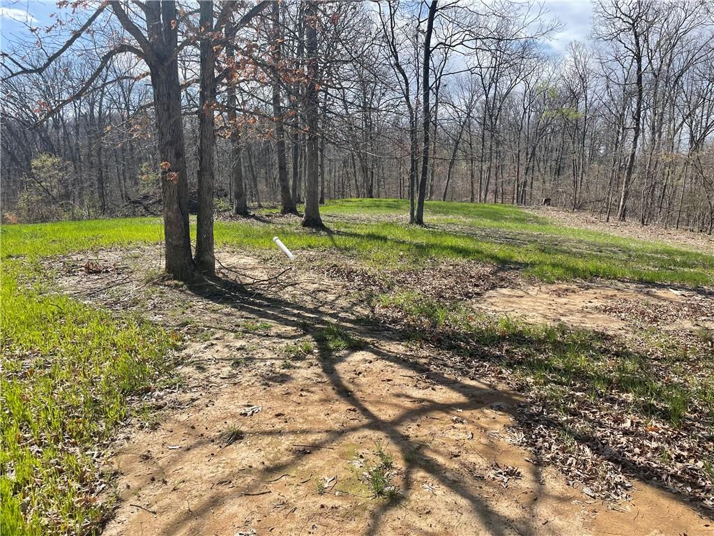 5480 State Route, Unit RURAL Higbee, MO 65257 - Photo 35 of 51