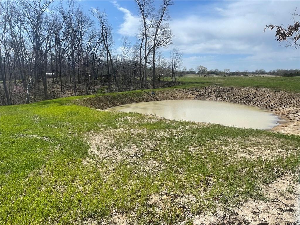 5480 State Route, Unit RURAL Higbee, MO 65257 - Photo 4 of 51