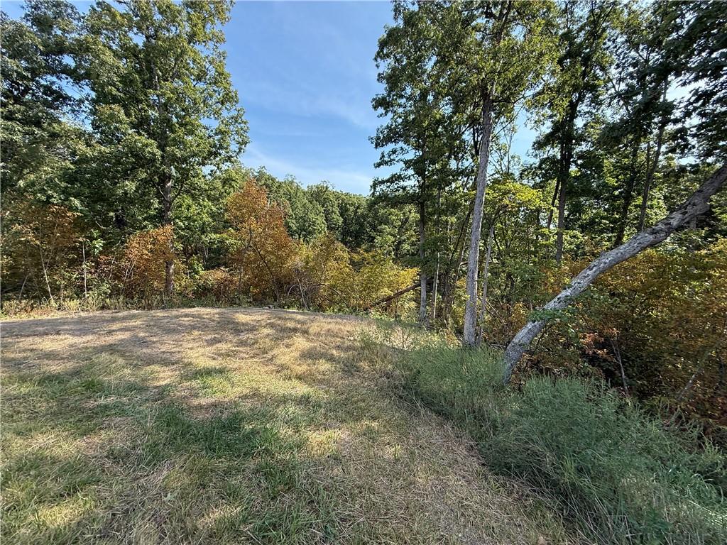 5480 State Route, Unit RURAL Higbee, MO 65257 - Photo 47 of 51