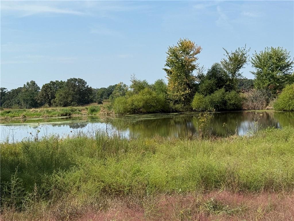 5480 State Route, Unit RURAL Higbee, MO 65257 - Photo 5 of 51