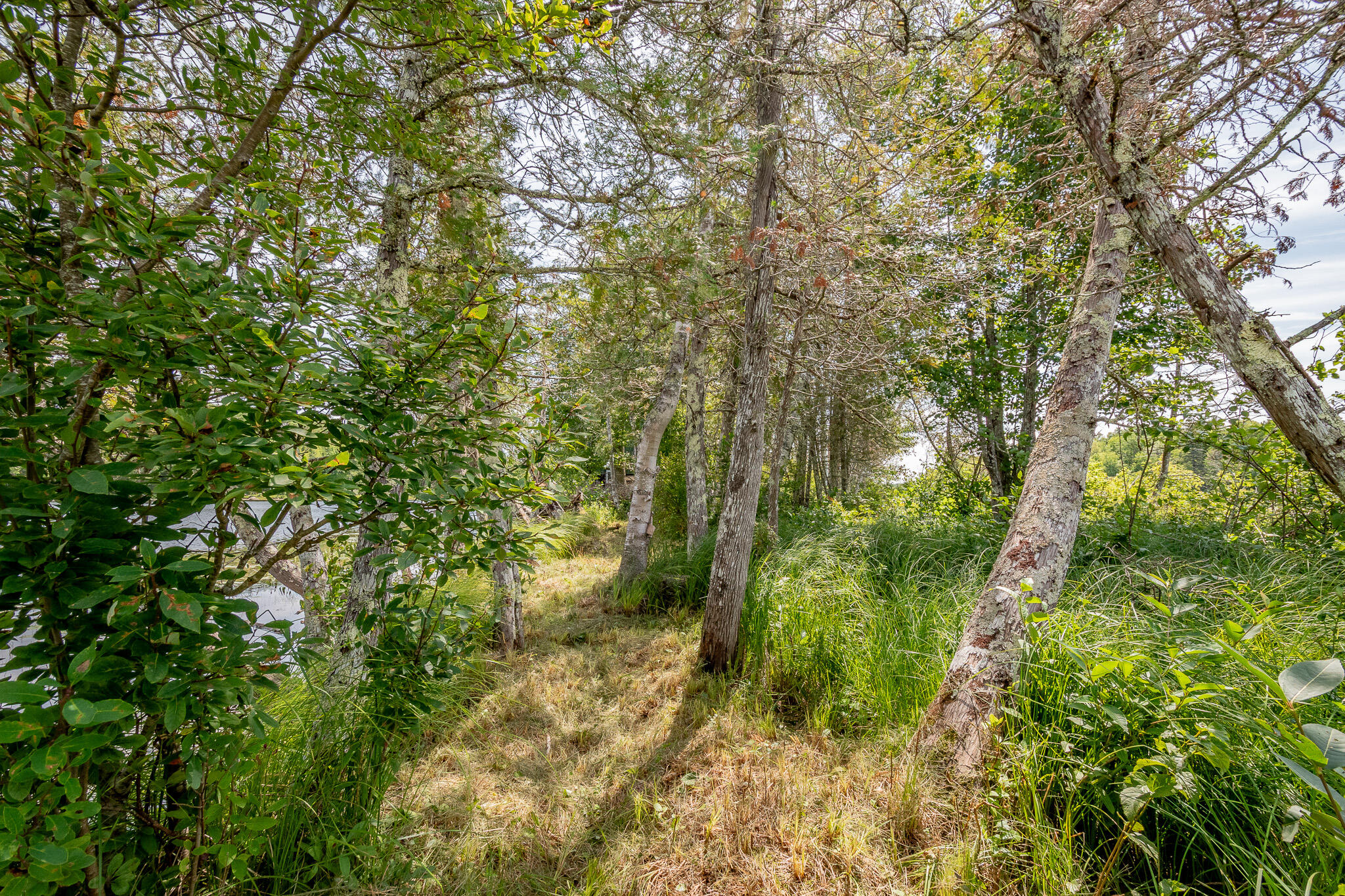 1 Sebec Court Milo, ME 04463 - Photo 46 of 74 DSC_0915