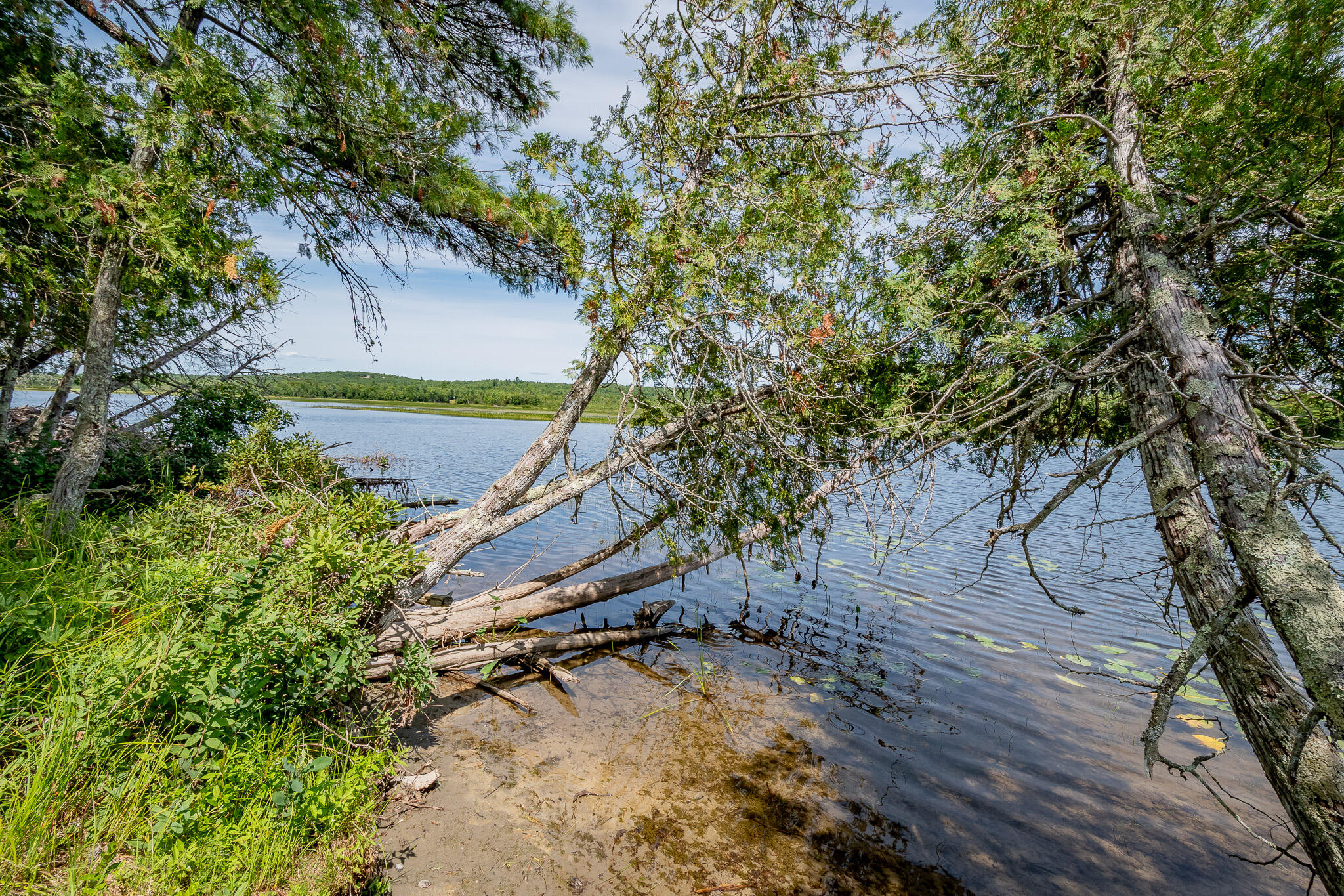 1 Sebec Court Milo, ME 04463 - Photo 48 of 74 DSC_0918
