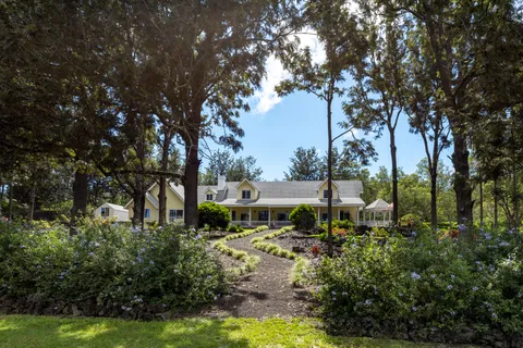 a view of a garden with plants and large trees