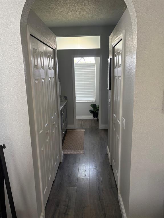 8706 Linebrook Drive Trinity, FL 34655 - Photo 8 of 41