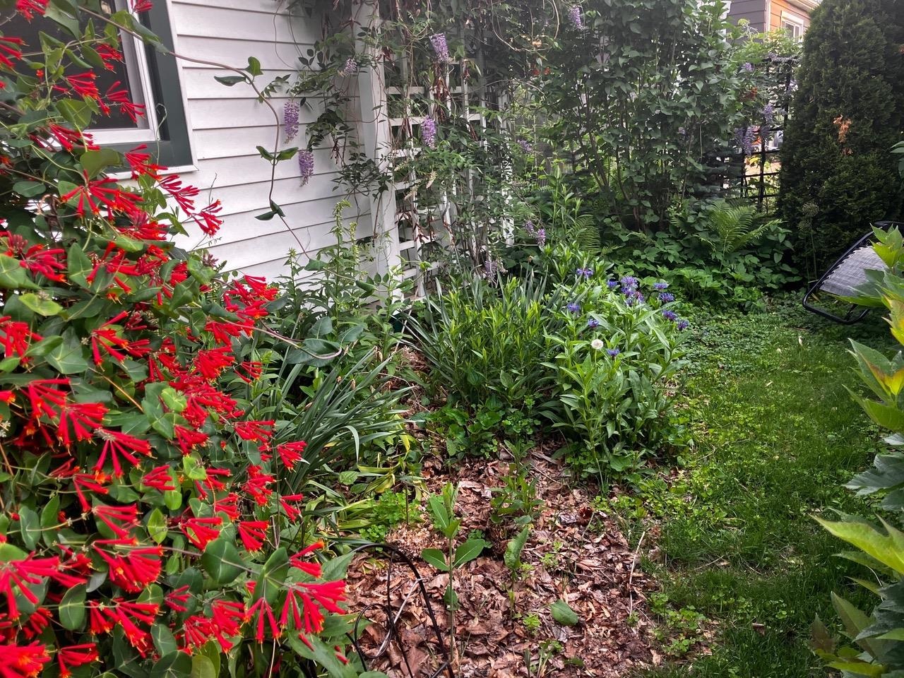 5207 Shore Acres Road Monona, WI 53716 - Photo 42 of 42