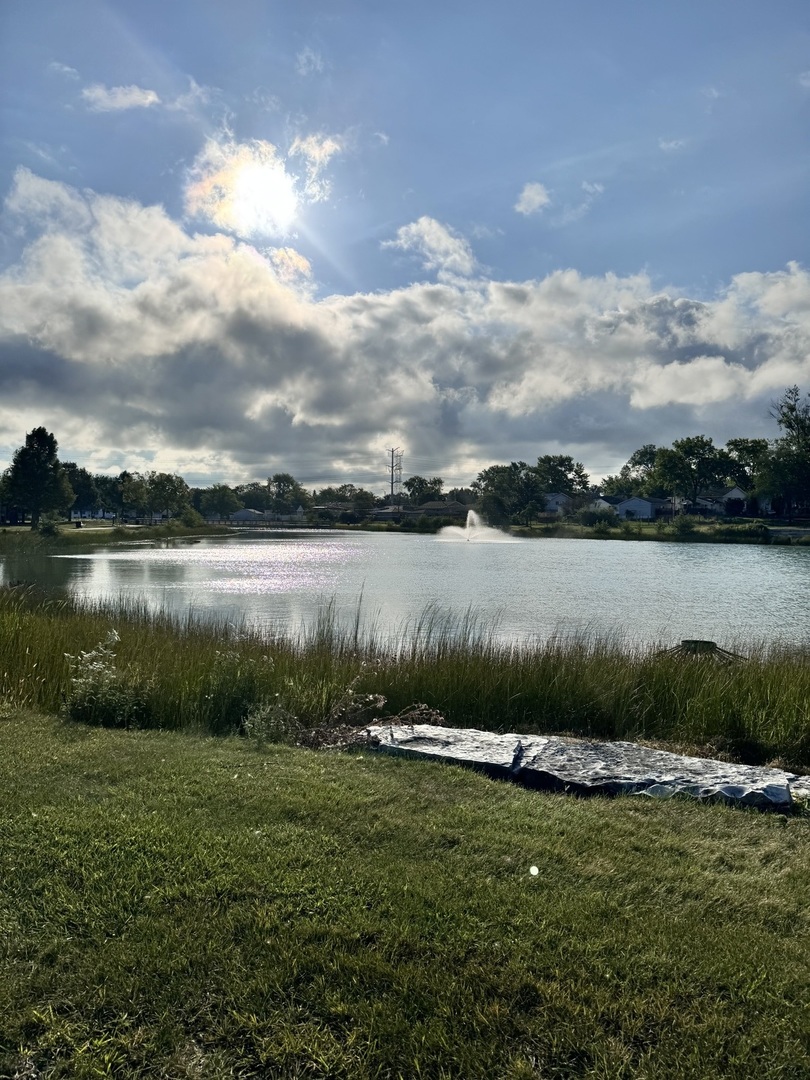 538 Belmont Drive Romeoville, IL 60446 - Photo 35 of 36