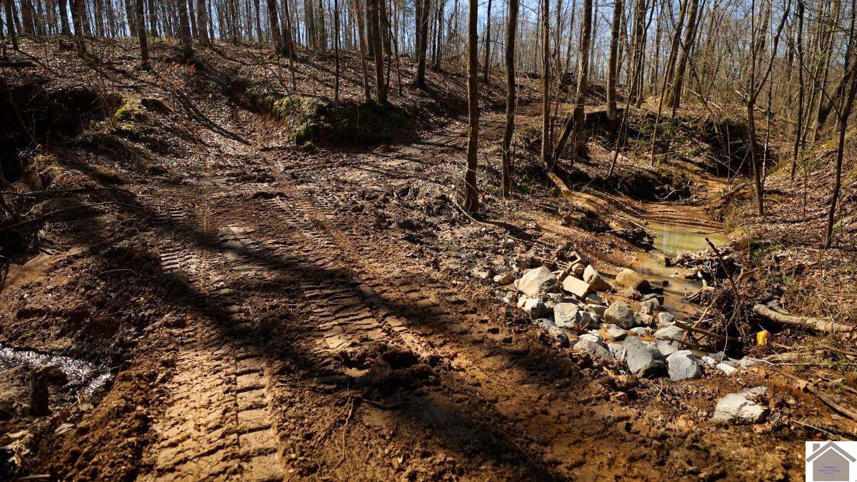 0 Wray Road Wingo, KY 42088 - Photo 17 of 39 Photo 17
