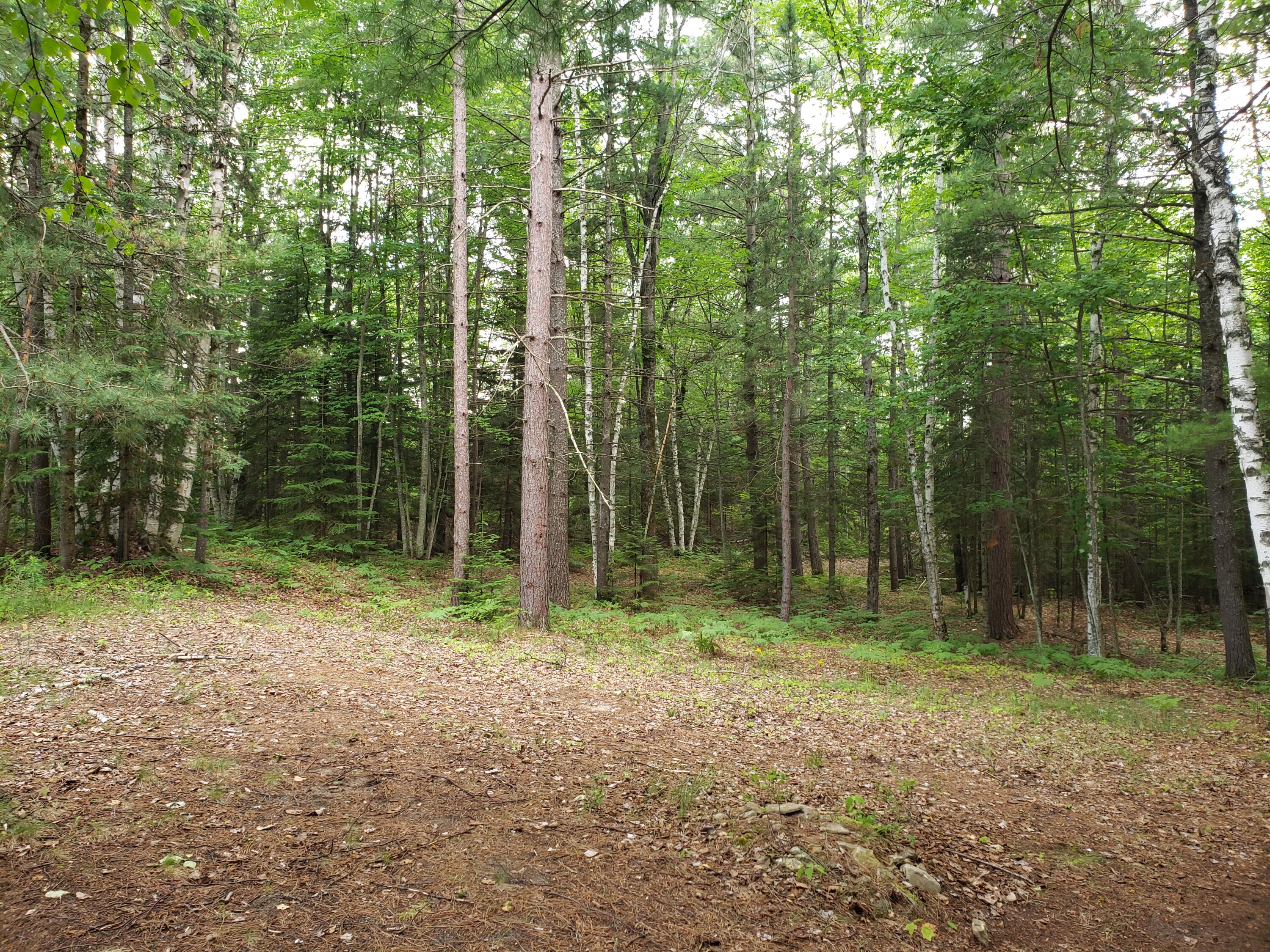 3500 Werth Road Alpena, MI 49707 - Photo 11 of 27 Gallery Image 11