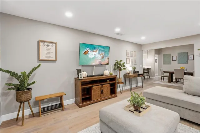 a living room with furniture and a potted plant