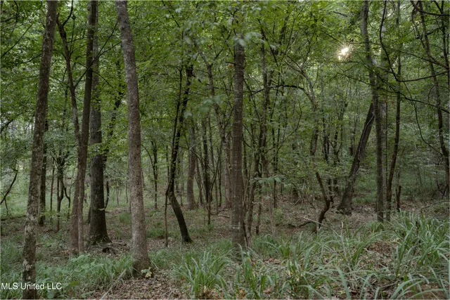 $360,877 | 0 Hwy 22 Bolton Ms 39041, Bolton, MS 39041