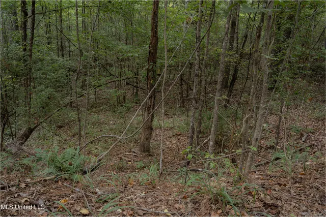 $360,877 | 0 Hwy 22 Bolton Ms 39041, Bolton, MS 39041