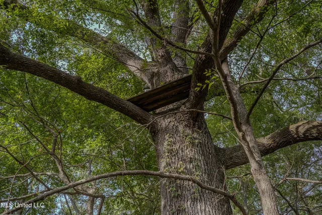 $360,877 | 0 Hwy 22 Bolton Ms 39041, Bolton, MS 39041