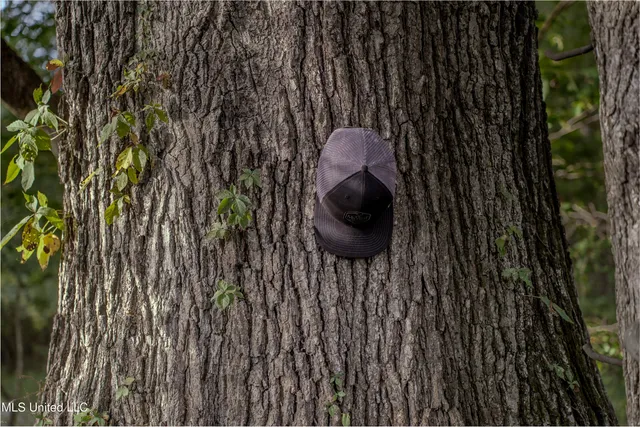 $360,877 | 0 Hwy 22 Bolton Ms 39041, Bolton, MS 39041