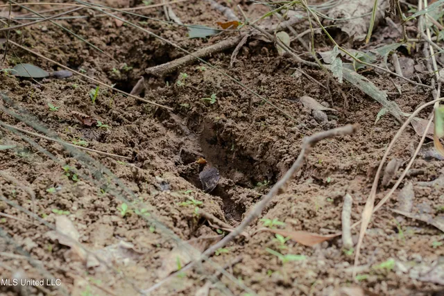 $360,877 | 0 Hwy 22 Bolton Ms 39041, Bolton, MS 39041